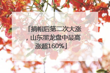 摘帽后第二次大涨，山东墨龙盘中最高涨超160%